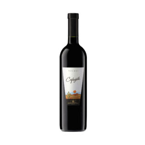 Vino Tinto Malbec o Cabernet Cafayate  750 ml